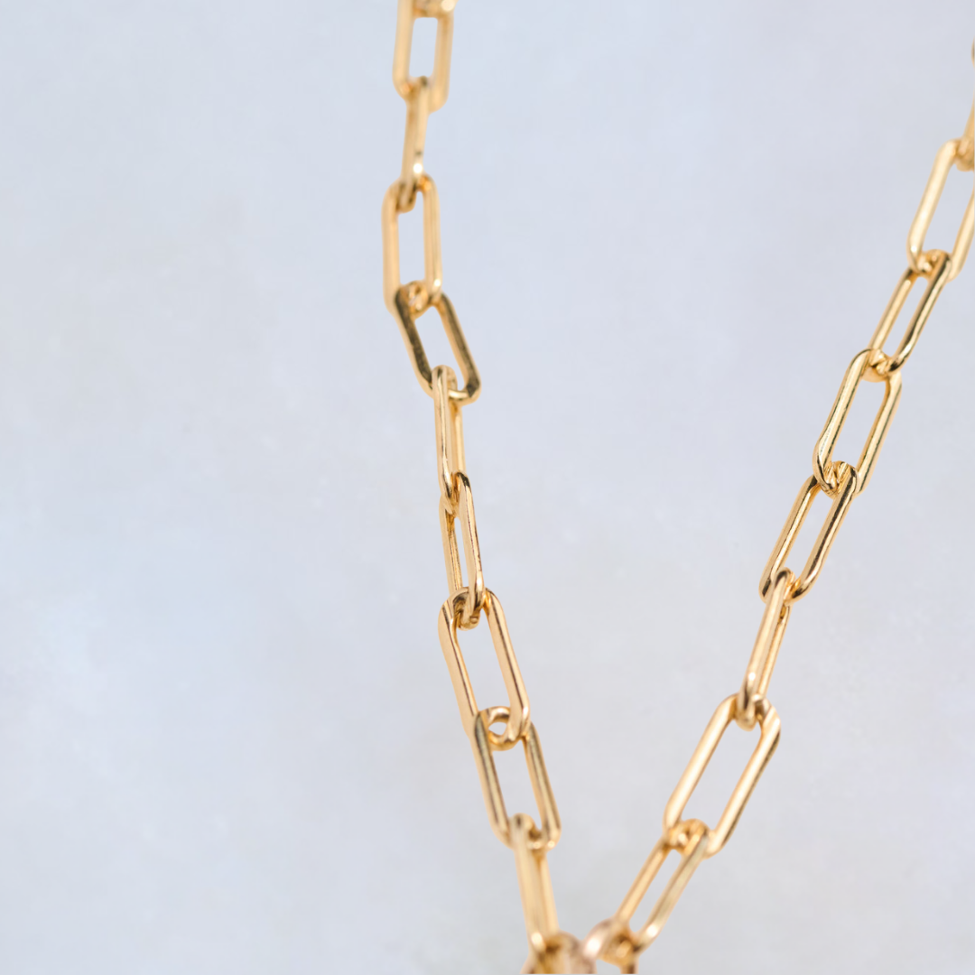 Paperclip Chain with Sennod Vignette Holder